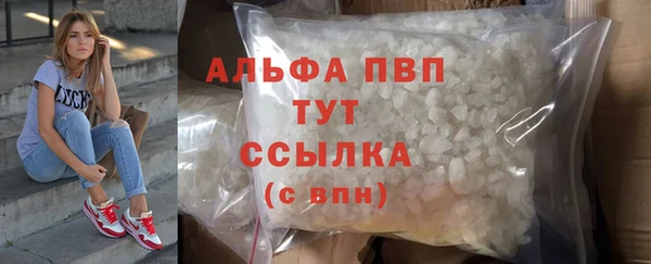 шишки Вязники
