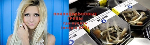 бутират Вяземский