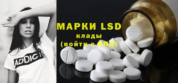 шишки Вязники