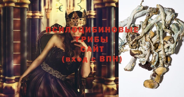 mdpv Вязьма