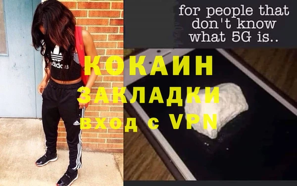 шишки Вязники