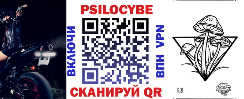 Псилоцибиновые грибы Psilocybine cubensis Красавино